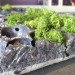 Grow, Riccardo Belli, Ventura Lambrate, Milan Furniture Fair, habitat, sustainable design, eco design, green design