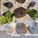 Grow, Riccardo Belli, Ventura Lambrate, Milan Furniture Fair, habitat, sustainable design, eco design, green design