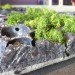 Grow, Riccardo Belli, Ventura Lambrate, Milan Furniture Fair, habitat, sustainable design, eco design, green design