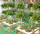 IKEA’s New Plant Tables Make Indoor Gardening Easy for Everyone
