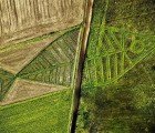 Artist Jaroslaw Koziara’s Gigantic Fish Sows Seeds of Unity Between Poland and Ukraine