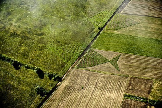 Jaroslaw Koziara, Land Art Festival, unity fish, ukraine, poland, eco art, gardening, sustainable design, green design, crop circles, Horodyszcze, Warez, fish, nature, landscape art, land art
