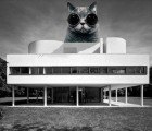 PICS: Crazy LOLcats Take Over Famous Architectural Monuments