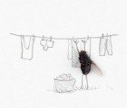 Artist Magnus Muhr Uses Dead Flies to Make Fun of Humans