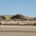 green design, eco design, sustainable design, Marco Casagrande, Sandworm, Wenduine, Belgium, woven structure, woven willow structure, amorphous shelter