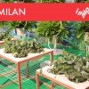 IKEA PS Unveils Smart, Sustainable Designs at Ventura Lambrate During Milan Design Week 2012