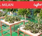 IKEA PS Unveils Smart, Sustainable Designs at Ventura Lambrate During Milan Design Week 2012
