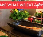 “We are what we eat!” Cooks Up Organic Food In an Eco Kitchen at the Milan Furniture Fair