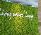 Oasegroen Greens Up Dull Interiors With Living, Breathing Moss Walls