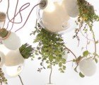 Omer Arbel’s Gorgeous Chandelier Glows Green With Hanging Succulents