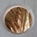Rec Arquitectos, Cool Building, Mexico, Cuernavaca, Petate, Glass, steel, minimalist architecture, biodegradable materials, local materials, round windows, cuernavaca, Air quality, architecture, Sustainable Materials