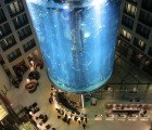 The Radisson Blu Hotel’s 82-Foot Aquadom Aquarium Brings Sea-Life and Scuba Diving to Berlin