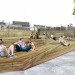 Reading Viaduct, Studio Bryan Hanes, Philadelphia, Urban Park, Elevated Park, Renovated Rail Park, Center City, Philly