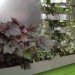 Shake Shack, Shift Design, living wall, vertical garden, temporary installation, philadelphia,