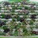 Shake Shack, Shift Design, living wall, vertical garden, temporary installation, philadelphia,
