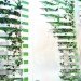 Shake Shack, Shift Design, living wall, vertical garden, temporary installation, philadelphia,