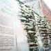 Shake Shack, Shift Design, living wall, vertical garden, temporary installation, philadelphia,