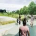 union square Proposal, Diller Scofidio + Renfro, DS+R, washington mall, design competition, landscape interventions, green roof, wetlands