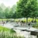 union square Proposal, Diller Scofidio + Renfro, DS+R, washington mall, design competition, landscape interventions, green roof, wetlands