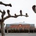 Palencia, Spain, Exit Architects, green renovation, sustainable upgrade, Palencia Civic Center, green design, sustainable design, eco-design, Spain, daylighting, brick, renovation, prison