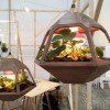 Vicky Pendant Lamp Terrarium Shines a Light on Indoor Gardening