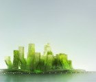 X SEA TY is a Carbon-Absorbing, Algae-Producing Floating City
