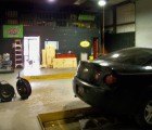 Help All 4 Paws Animal Shelter Green Its New Space!