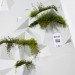 Arceas, France, green wall, fitness, design for health, Yoann Legaignoux, Simon Viau, Thibaut Rouganne, green design, sustainable design, eco-design, modular design,