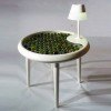 Biophotovoltaic Moss Table Generates Electricity Through Photosynthesis