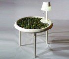 Biophotovoltaic Moss Table Generates Electricity Through Photosynthesis