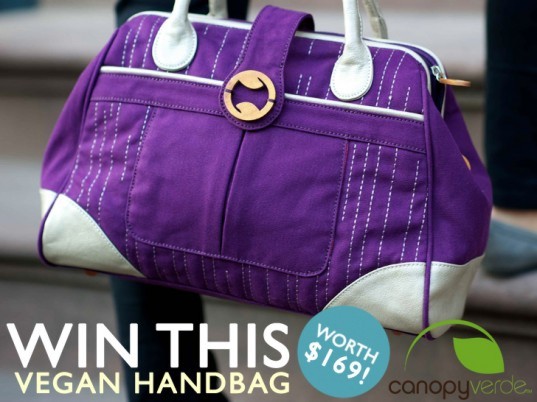 Canopy Verde Mini Cassia bag, linda wong, purple hangbag, ecouterre giveaway, handbag giveaway, cassia mini bag, vegan handbag, cruelty-free accessories