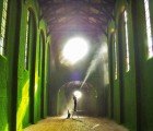 Living Grass Walls Completely Cover the Interior of London’s Dilston Grove Gallery!