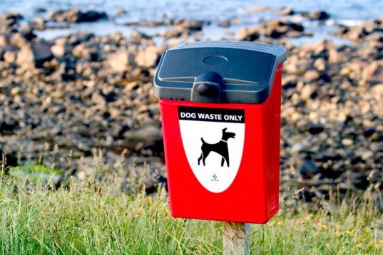 ithaca, dog poo, dog poo compost, dog waste, composting, compost, Allen H. Treman Marine State Park, cayuga compost