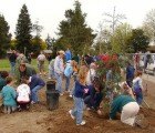 8 Fun & Easy Earth Day Activities for Kids of All Ages