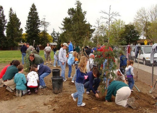 Earth Day, planting trees, gardening, community garden,