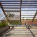 rooftop garden, Djuric Tardio, France, eco-sustainable house, green design, Paris, eco-design, sustainable design, daylighting, natural ventilation, sustainably-sourced wood, prefab construction