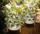 Freestanding Garden Tower Provides Green Space For 50 Plants to Flourish