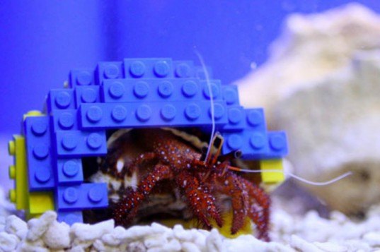 legoland windsor, henry crab, hermit crab, lego shell, lego home