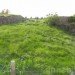 Irish Hunger Memorial, green roof, green roofs ny, green roofs in new york, irish memorial, irish famine, famine memorial, sustainable design, irish famine memorial