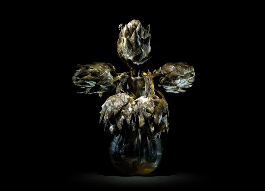 One third - a project on food waste by Klaus Pichler One third, food waste project, Klaus Pichler, United nations, photography food waste, rotten food still life, green photography, sustainable design, green art