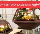 The Best Green Designs in Ventura Lambrate at the Milan Furniture Fair