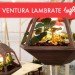 Ventura Lambrare Milan 2012