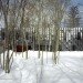 Mirror Mongayt, Berlaskoni, Russia, moscow, mirrors, pixelated, design, green design, prefab construction, sustainable design, eco-design, recycled materials, locally-sourced materials, energy efficiency, daylighting