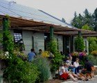 Solar-Powered Painters Hall is a Net-Zero Community Center in Salem, Oregon