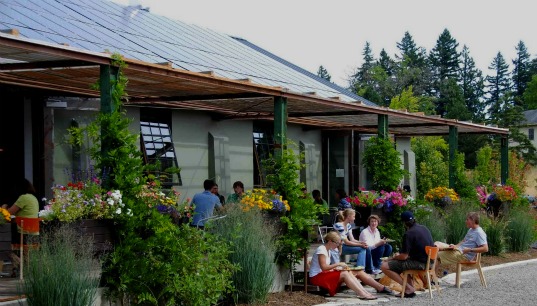 painters hall cafe, LEED-Platinum net-zero energy certification, sustainable architecture, eco design, green renovation, solar energy, solar powered cafe