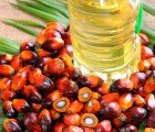 EPA to Rule on Whether Greenhouse-Gas-Emitting Palm Oils Can be Used as Biofuel