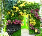 PICS: Patrick Blanc’s Dazzling Vertical Garden Wonderland is Laced with 7,000 Orchids