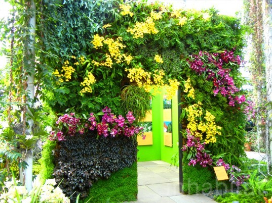botanical, eco design, Enid A. Haupt Conservatory, green design, green wall, living wall, New York Botanical Garden, nybg, orchid show, orchids, patrick blanc, patrick blanc vertical gardens, sustainable design, vertical garden, vertical gardens