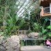 phipps conservatory, phipps pittsburgh, phipps center for sustainable landscapes, center for sustainable landscapes, the design alliance architects, living building challenge