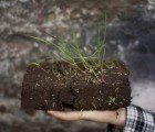 JAILmake’s Reseeding Bricks Help Grow Living Buildings in London